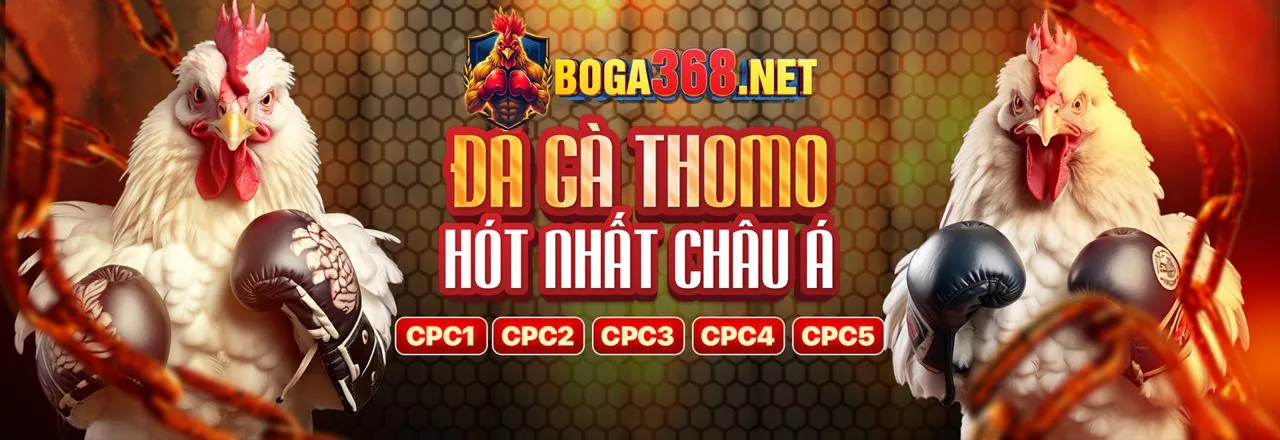 Khuyến mãi độc quyền từ 123b app 2026