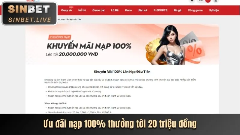 Ưu đãi VIP độc quyền 123b app